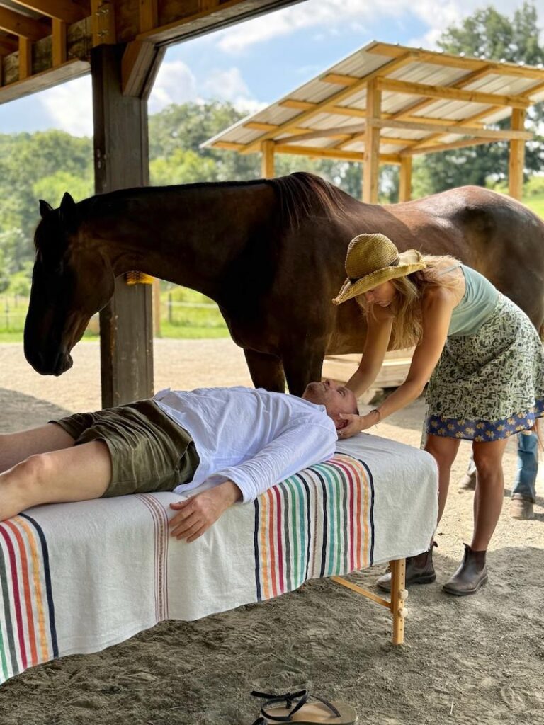 Reiki with Horses Session Photo